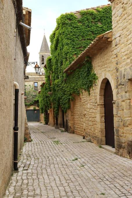 Entre Uzes Et Le Pont-Du-Gard Le Logis D'Autrefois Apartment Castillon-du-Gard Exterior photo
